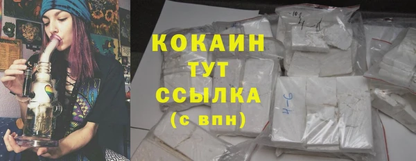 ГАЛЛЮЦИНОГЕННЫЕ ГРИБЫ Пересвет