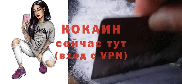 ГАЛЛЮЦИНОГЕННЫЕ ГРИБЫ Пересвет