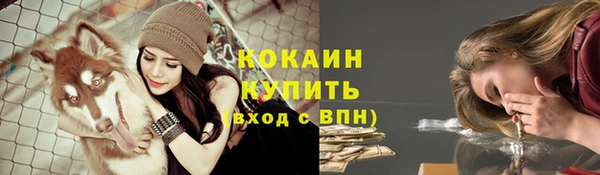 ГАЛЛЮЦИНОГЕННЫЕ ГРИБЫ Пересвет