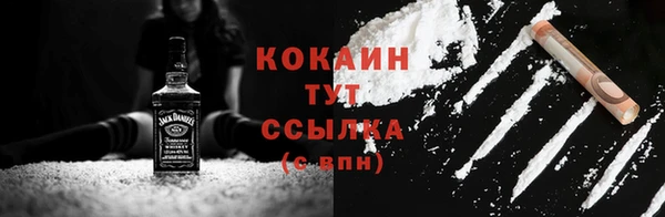 ГАЛЛЮЦИНОГЕННЫЕ ГРИБЫ Пересвет