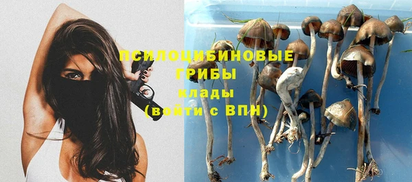 ГАЛЛЮЦИНОГЕННЫЕ ГРИБЫ Пересвет