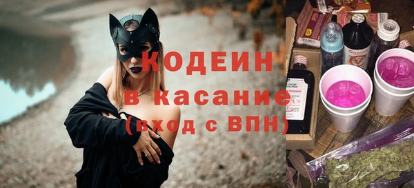 ГАЛЛЮЦИНОГЕННЫЕ ГРИБЫ Пересвет