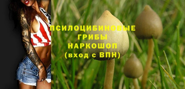 прущие крисы Пестово
