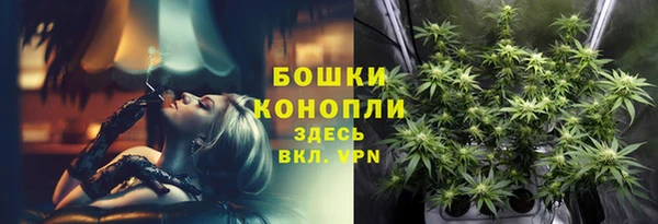 гашик Переславль-Залесский