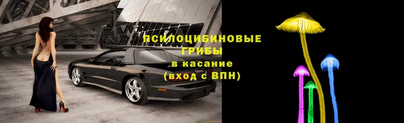 Галлюциногенные грибы мицелий  как найти   Бирюч 